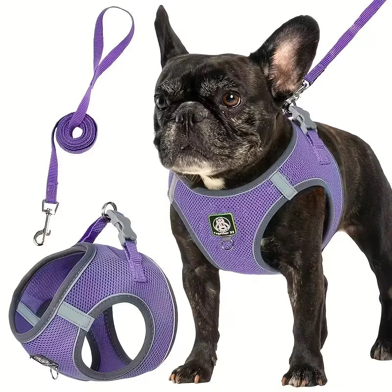 [Dog Walking Harness] 601 Small And Medium Dog Walking Harness + Leash Set 2pcs, Without Battery