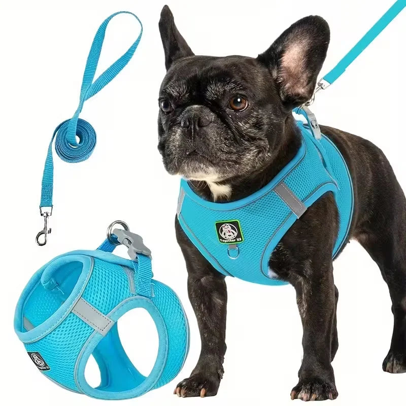 [Dog Walking Harness] 601 Small And Medium Dog Walking Harness + Leash Set 2pcs, Without Battery