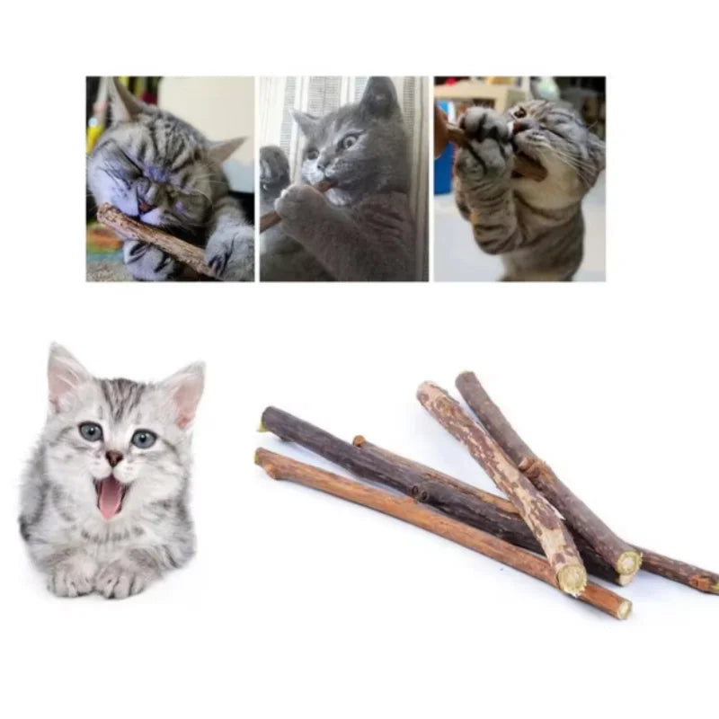 Silvervine Sticks for Cats Natural Catnip Chew Sticks Teeth Molar Chewing Toys for Cat Kitten Kitty Gifts