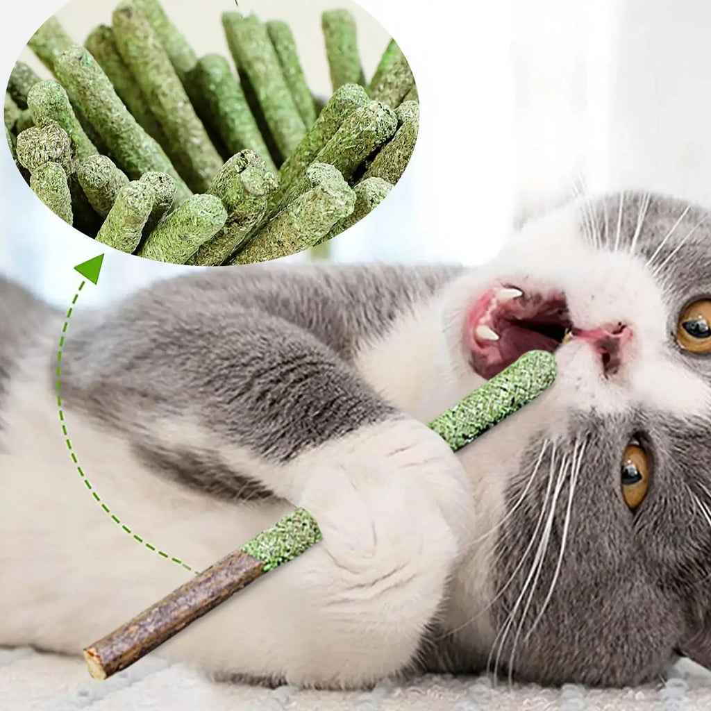 1 bag Cat Teeth Cleaning Cat Grass Stick Grass For Cat Natural Grass Molar Rod Catnip Toys Sticks Indoor Kitten Hairball Removal