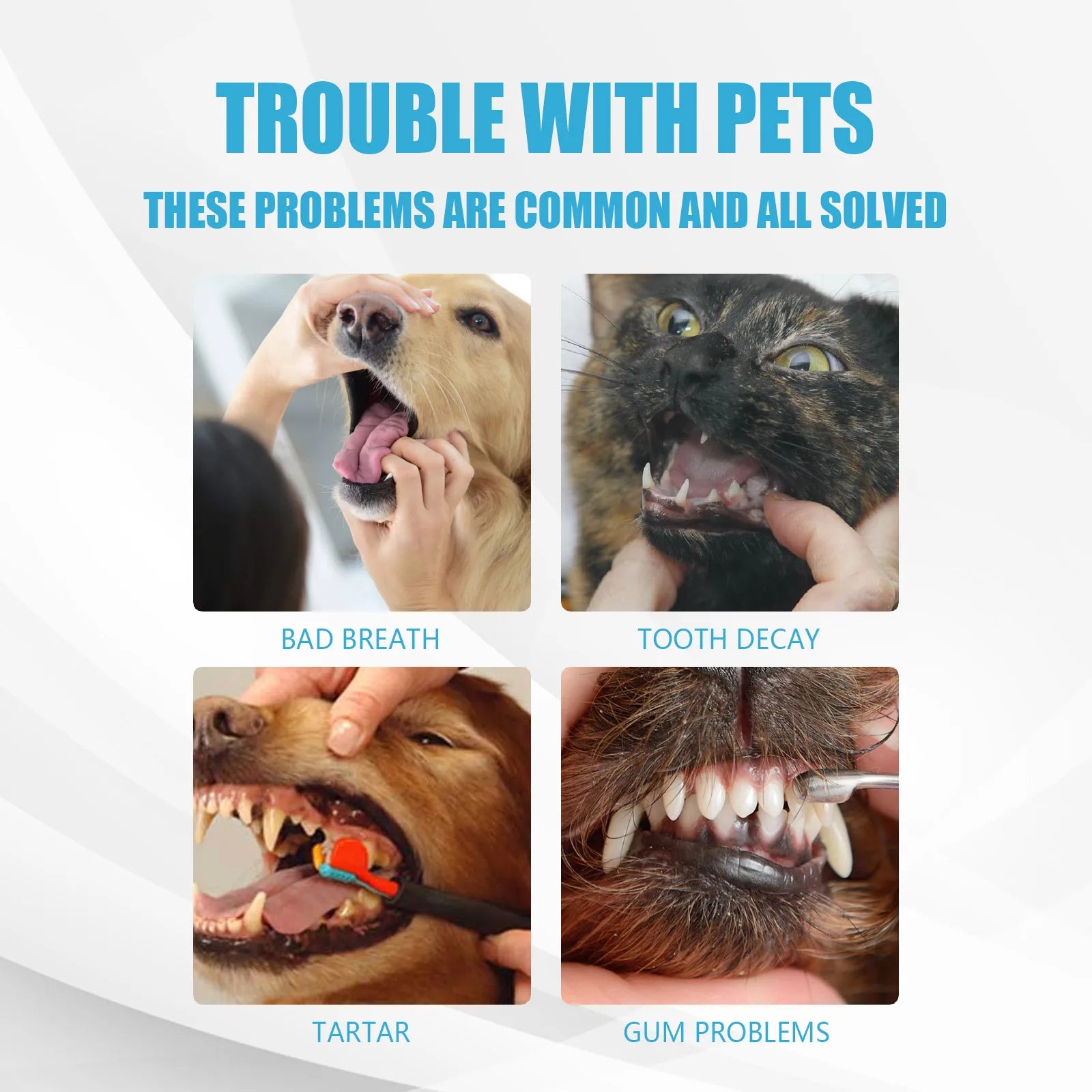 Pet Toothpaste for Dogs, Fresh Breath, Bad Breath, Dental Plaque Cleaning, Cat Oral Care Toothpaste