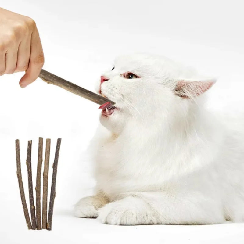 Silvervine Sticks for Cats Natural Catnip Chew Sticks Teeth Molar Chewing Toys for Cat Kitten Kitty Gifts