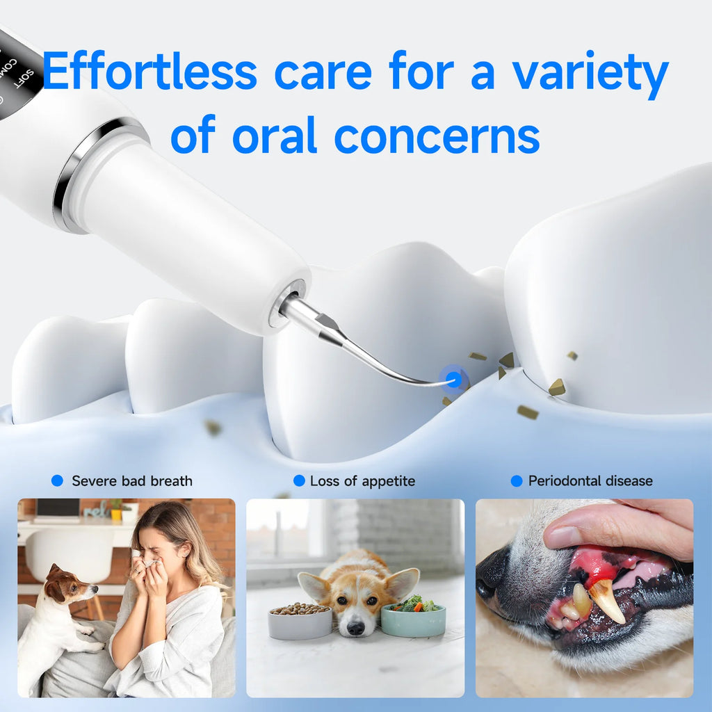 Cat Dog Dental Cleaner For Teeth Tartar Remover Waterproof IPX6 Five Modes Dental Teeth Scaler For Pet Dental Cleaning Equipment