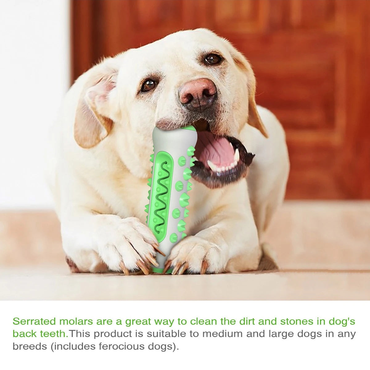 Dog Dental Chew Toys for Teeth Cleaning Puppy Teething Sticks & Chewable Bone Toothbrush Enzymatic Oral Care Fresh Breath