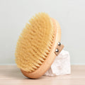 Professional Grooming Brush for Short-Haired Dogs Non-Slip Handle Gentle Grooming Reduces Shedding Pet Grooming Tool